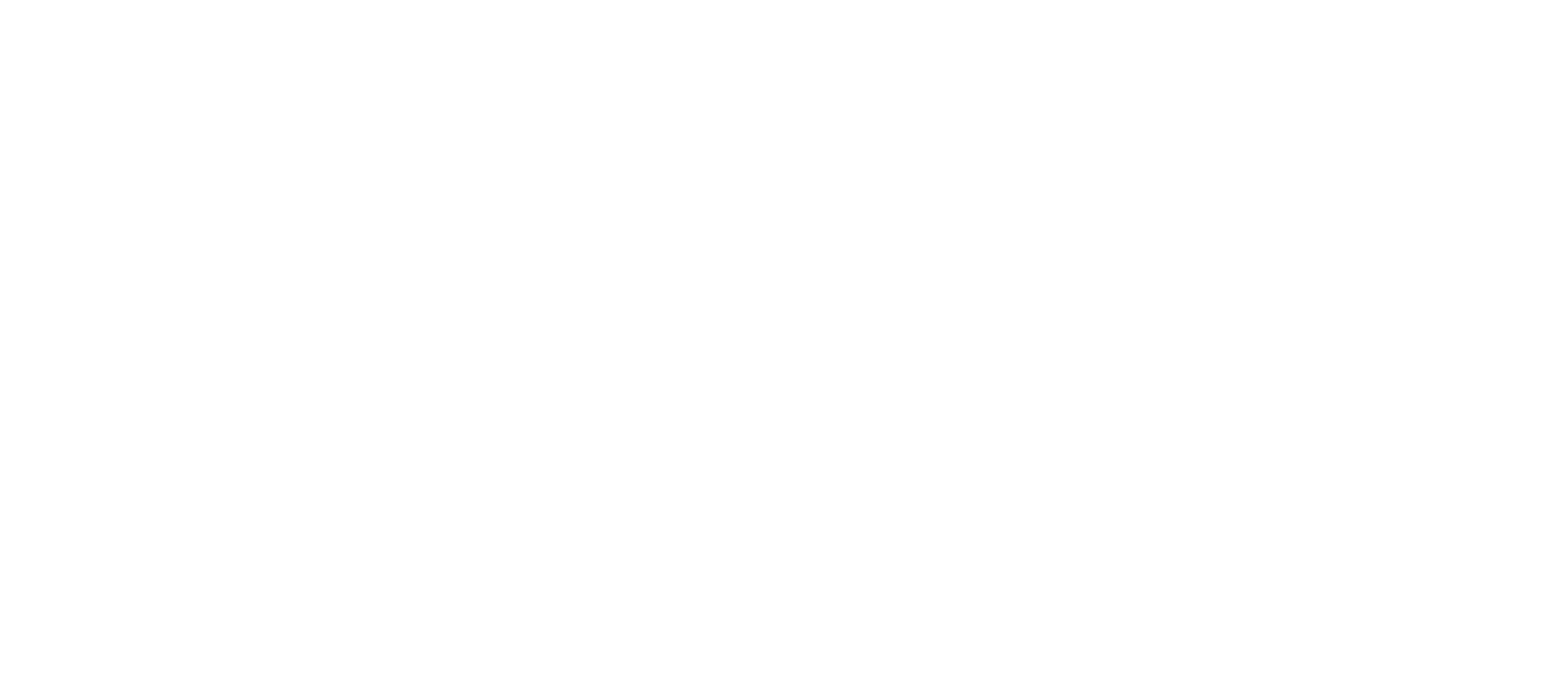 SEO in Verrado Footer Logo in White